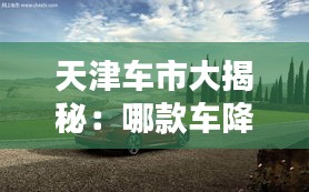 天津車市大揭秘：哪款車降價最猛？