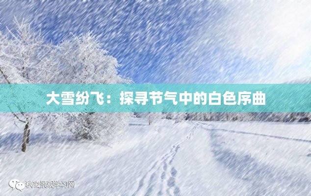 大雪紛飛：探尋節(jié)氣中的白色序曲