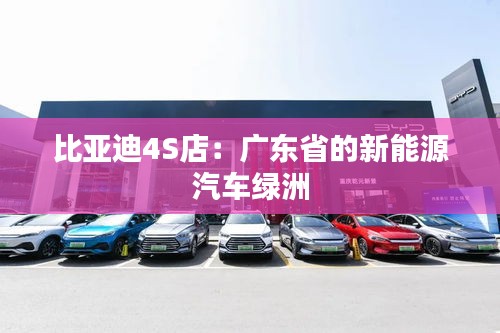 比亞迪4S店:廣東省的新能源汽車綠洲