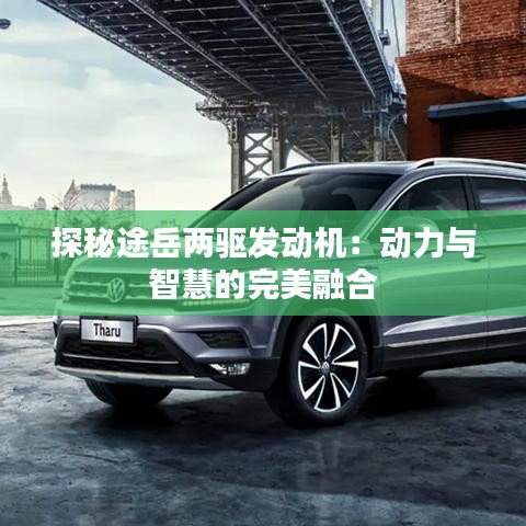 探秘途岳兩驅(qū)發(fā)動(dòng)機(jī):動(dòng)力與智慧的完美融合