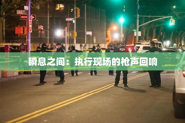 瞬息之間:執(zhí)行現(xiàn)場的槍聲回響