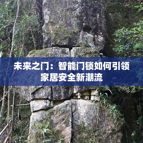 未來之門:智能門鎖如何引領家居安全新潮流