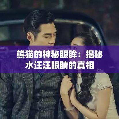 熊貓的神秘眼眸:揭秘水汪汪眼睛的真相