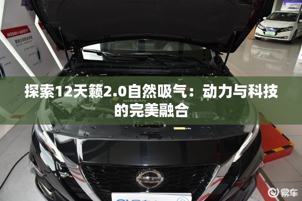 探索12天籟2.0自然吸氣:動力與科技的完美融合