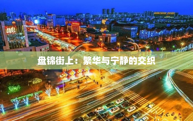 盤(pán)錦街上:繁華與寧?kù)o的交織