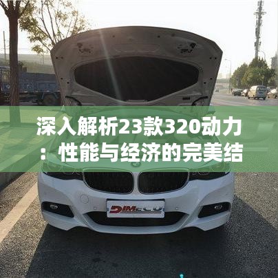 深入解析23款320動(dòng)力:性能與經(jīng)濟(jì)的完美結(jié)合