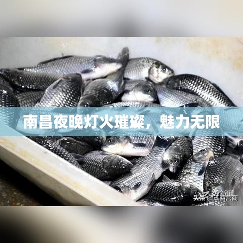 南昌夜晚燈火璀璨，魅力無限