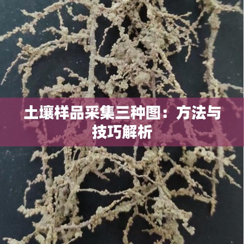 土壤樣品采集三種圖：方法與技巧解析
