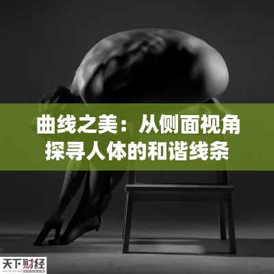 曲線之美:從側(cè)面視角探尋人體的和諧線條