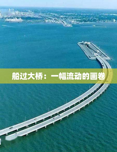 船過大橋：一幅流動的畫卷