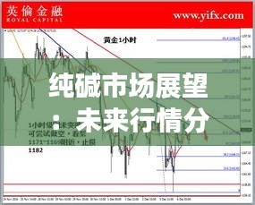 純堿市場(chǎng)展望:未來(lái)行情分析及投資建議