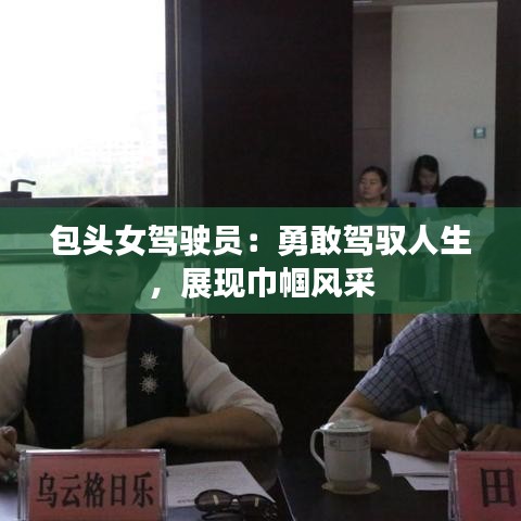 應(yīng)用領(lǐng)域 第335頁