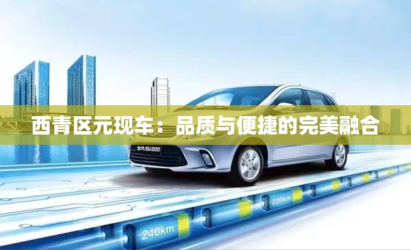 西青區(qū)元現(xiàn)車:品質(zhì)與便捷的完美融合