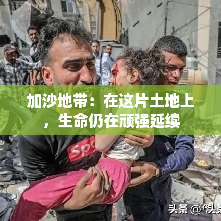 加沙地帶：在這片土地上，生命仍在頑強延續(xù)