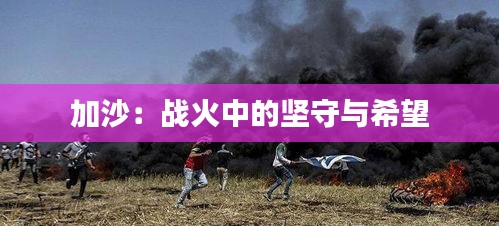 地老天荒 第4頁(yè)