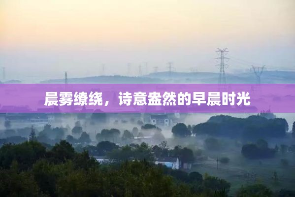晨霧繚繞，詩意盎然的早晨時光