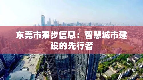 東莞市寮步信息：智慧城市建設(shè)的先行者