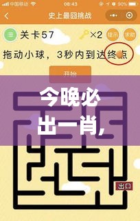 今晚必出一肖,靈活解析方案_挑戰(zhàn)款5.752