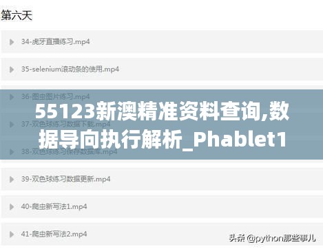 55123新澳精準(zhǔn)資料查詢,數(shù)據(jù)導(dǎo)向執(zhí)行解析_Phablet11.667