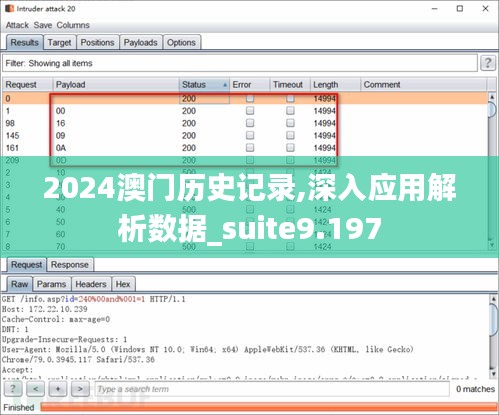 2024澳門歷史記錄,深入應用解析數(shù)據(jù)_suite9.197