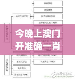 今晚上澳門開準(zhǔn)確一肖,廣泛方法解析說明_2D1.367