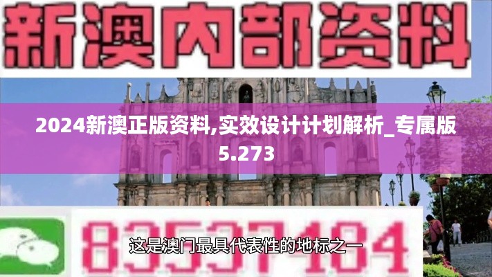 2024新澳正版資料,實效設(shè)計計劃解析_專屬版5.273