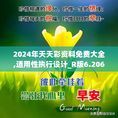 2024年天天彩資料免費大全,適用性執(zhí)行設計_R版6.206