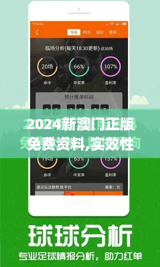 2024新澳門正版免費資料,實效性計劃設計_RemixOS1.399