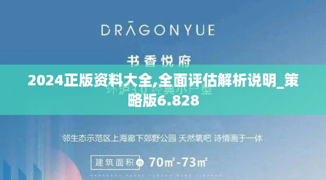 2024正版資料大全,全面評(píng)估解析說(shuō)明_策略版6.828