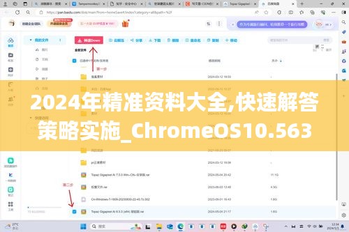 2024年精準(zhǔn)資料大全,快速解答策略實施_ChromeOS10.563