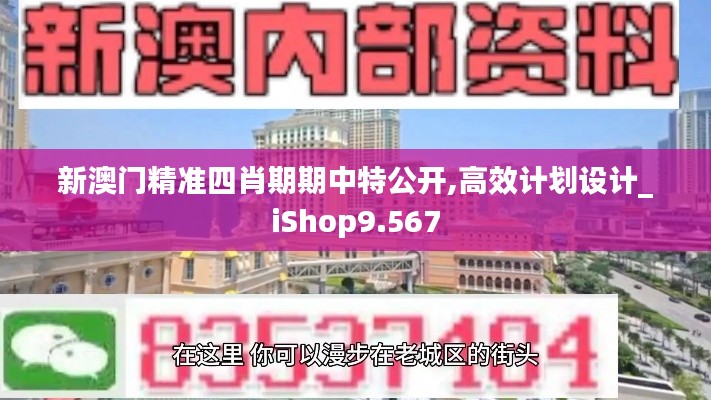 新澳門精準(zhǔn)四肖期期中特公開,高效計劃設(shè)計_iShop9.567
