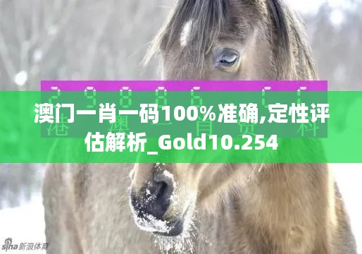 澳門一肖一碼100%準確,定性評估解析_Gold10.254