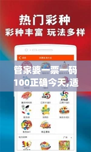 管家婆一票一碼100正確今天,適用性執(zhí)行設(shè)計_專屬款110.185