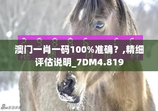 澳門一肖一碼100%準確？,精細評估說明_7DM4.819