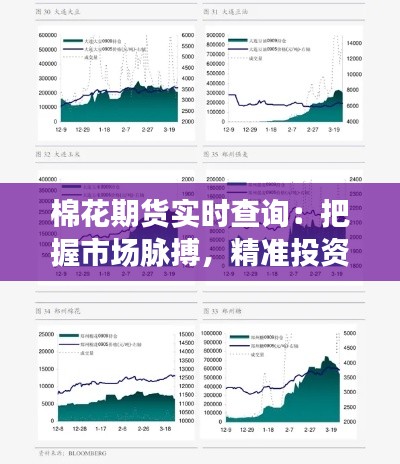 棉花期貨實(shí)時(shí)查詢：把握市場脈搏，精準(zhǔn)投資決策