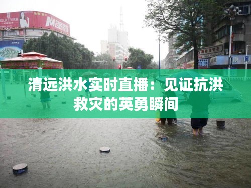 清遠洪水實時直播：見證抗洪救災(zāi)的英勇瞬間