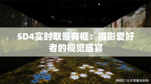 5D4實(shí)時(shí)取景有框：攝影愛(ài)好者的視覺(jué)盛宴