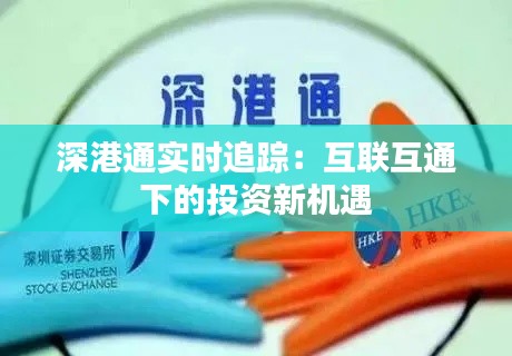 深港通實時追蹤:互聯(lián)互通下的投資新機遇