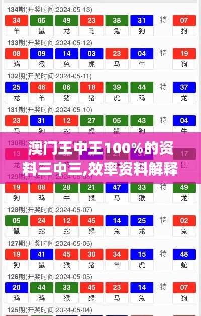 澳門王中王100%的資料三中三,效率資料解釋落實(shí)_微型版7.540