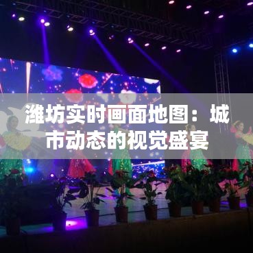 濰坊實時畫面地圖：城市動態(tài)的視覺盛宴