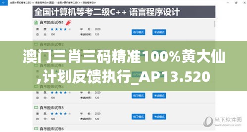 澳門三肖三碼精準(zhǔn)100%黃大仙,計(jì)劃反饋執(zhí)行_AP13.520