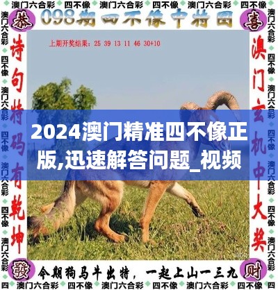 2024澳門精準(zhǔn)四不像正版,迅速解答問題_視頻版2.964