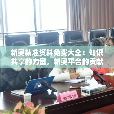 新奧精準(zhǔn)資料免費大仝：知識共享的力量，新奧平臺的貢獻