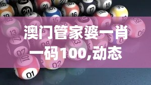 澳門管家婆一肖一碼100,動(dòng)態(tài)調(diào)整策略執(zhí)行_挑戰(zhàn)版3.799