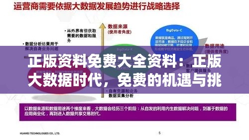 正版資料免費(fèi)大全資料：正版大數(shù)據(jù)時(shí)代，免費(fèi)的機(jī)遇與挑戰(zhàn)
