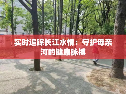 實(shí)時(shí)追蹤長(zhǎng)江水情:守護(hù)母親河的健康脈搏