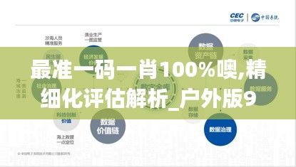 最準一碼一肖100%噢,精細化評估解析_戶外版9.935