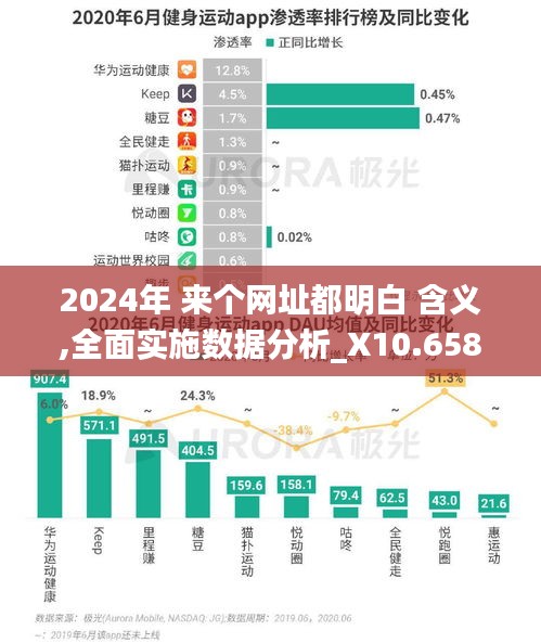 2024年 來個(gè)網(wǎng)址都明白 含義,全面實(shí)施數(shù)據(jù)分析_X10.658
