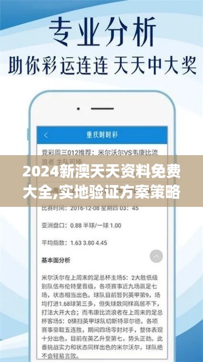 2024新澳天天資料免費大全,實地驗證方案策略_Z9.973