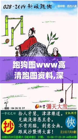 跑狗圖www高清跑圖資料,深入數(shù)據(jù)應(yīng)用執(zhí)行_特別版2.688